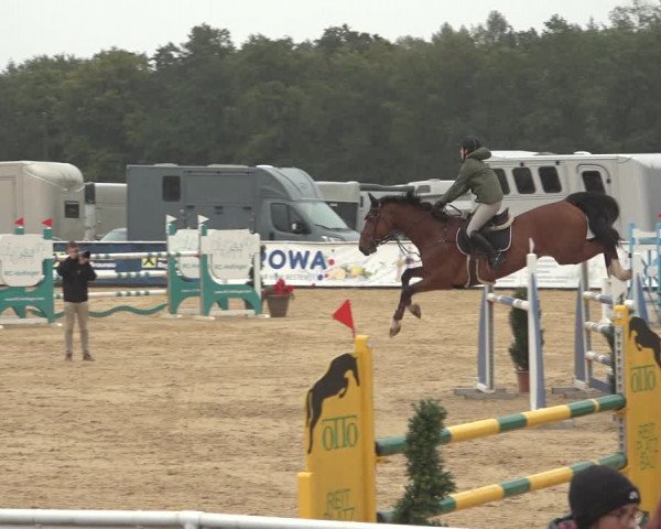 Reitturnier Ranshofen - Braunau am Inn 2023