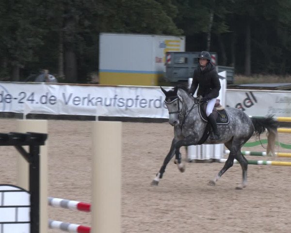 Reitturnier Ranshofen - Braunau am Inn 2023
