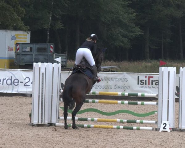 Reitturnier Ranshofen - Braunau am Inn 2023