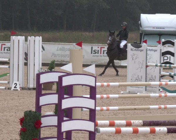 Reitturnier Ranshofen - Braunau am Inn 2023
