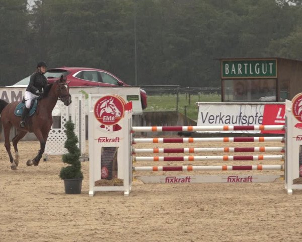Reitturnier Ranshofen - Braunau am Inn 2023
