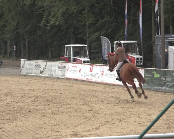 Reitturnier Ranshofen - Braunau am Inn 2023