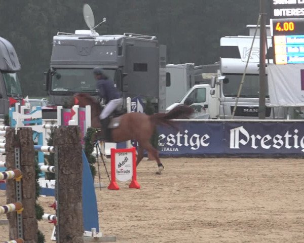 Reitturnier Ranshofen - Braunau am Inn 2023