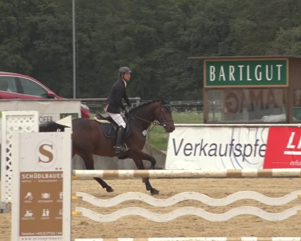 Reitturnier Ranshofen - Braunau am Inn 2023