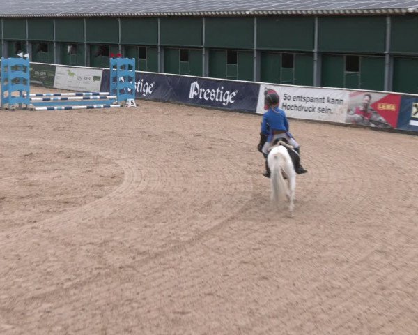 Reitturnier Ranshofen - Braunau am Inn 2023