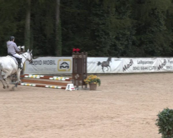 Reitturnier Ranshofen - Braunau am Inn 2023