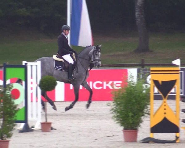 Reitturnier Westergellersen 2023