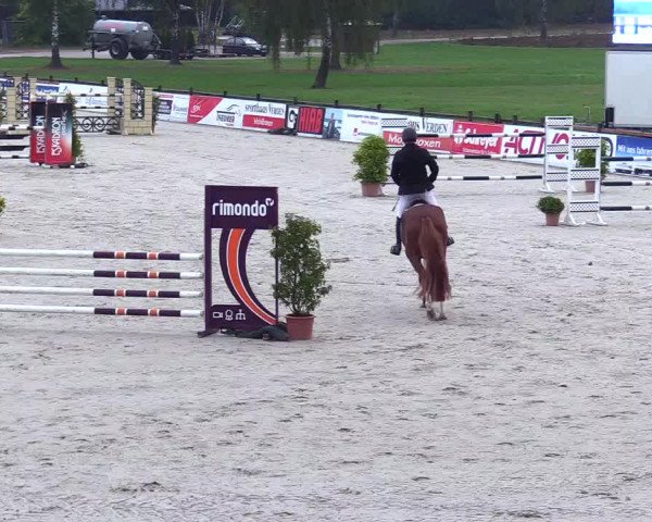 Reitturnier Westergellersen 2023