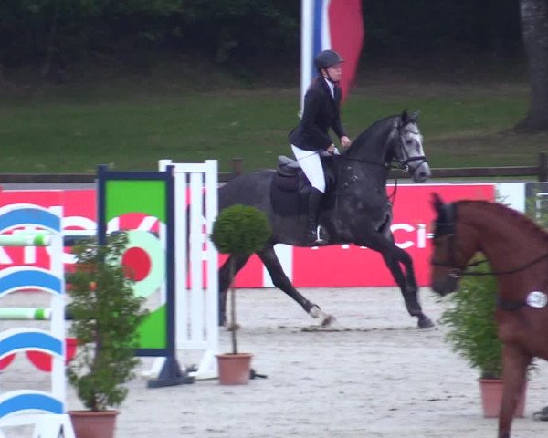 Reitturnier Westergellersen 2023