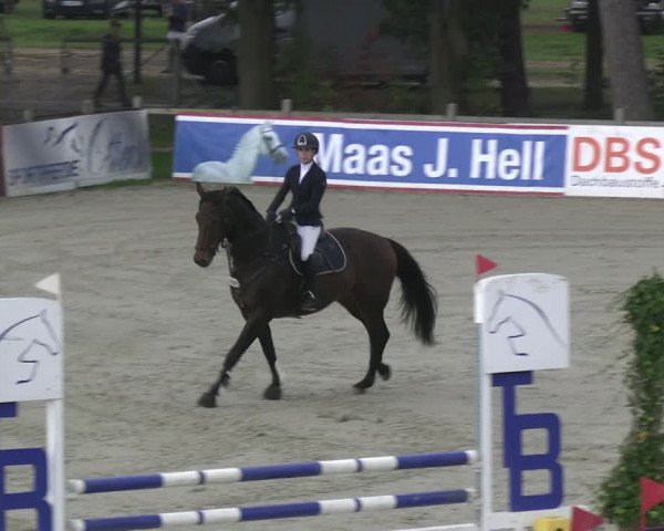 Reitturnier Westergellersen 2023