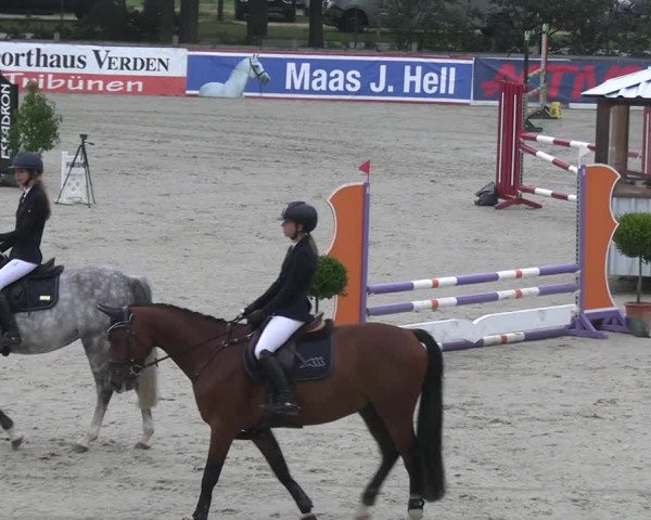 Reitturnier Westergellersen 2023