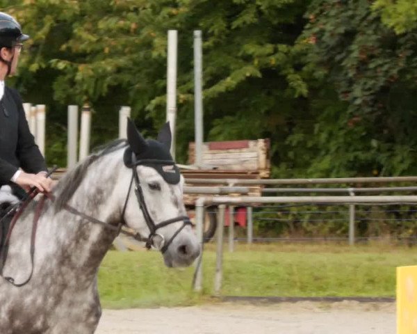 Reitturnier Leingarten 2023