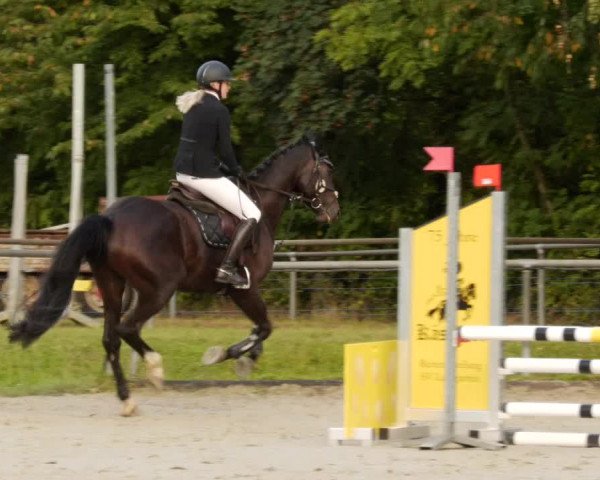 Reitturnier Leingarten 2023