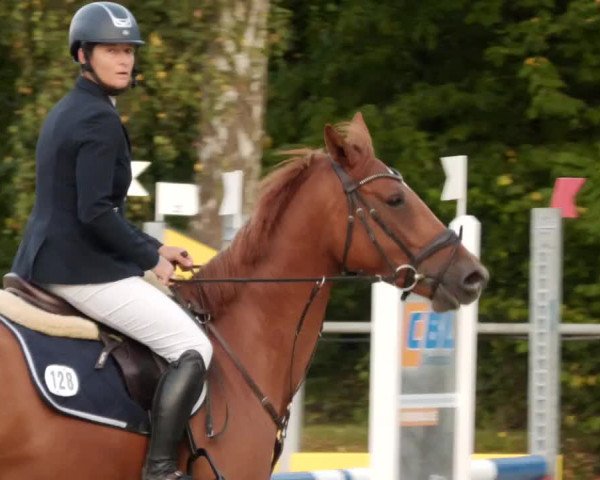 Reitturnier Leingarten 2023