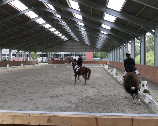Reitturnier Langenfeld - Gut Langfort 2023