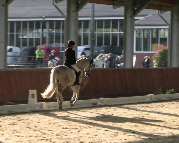 Reitturnier Langenfeld - Gut Langfort 2023