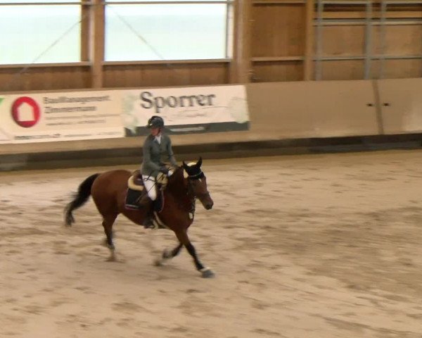 Reitturnier Winterthur 2023
