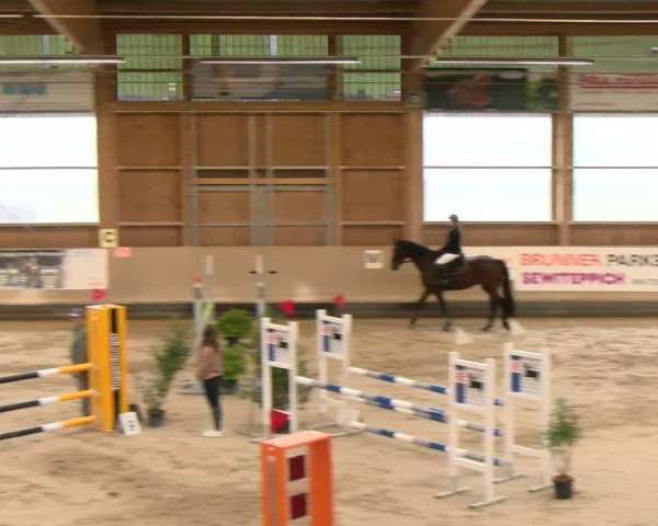 Reitturnier Winterthur 2023