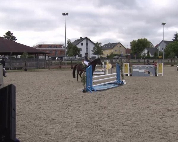 Reitturnier Poxdorf/Ofr 2023