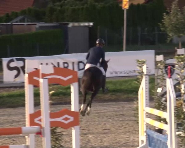 Reitturnier Poxdorf/Ofr 2023