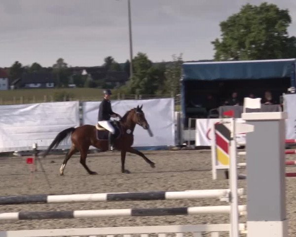 Reitturnier Poxdorf/Ofr 2023