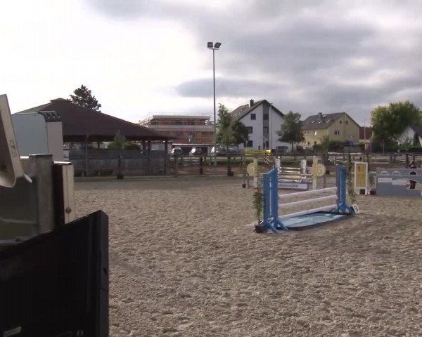 Reitturnier Poxdorf/Ofr 2023