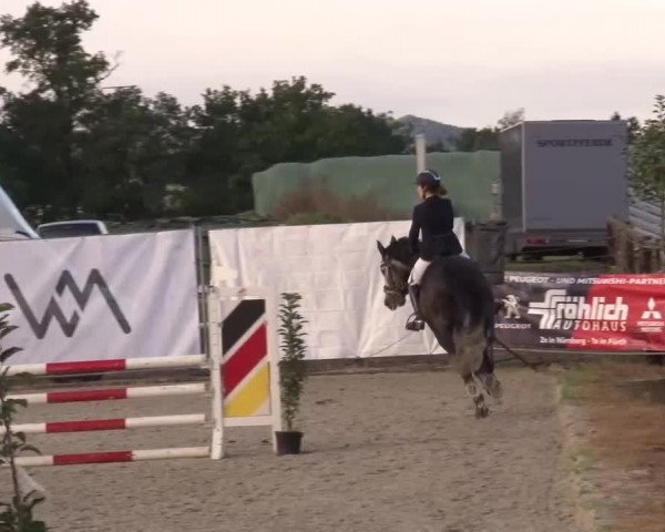Reitturnier Poxdorf/Ofr 2023