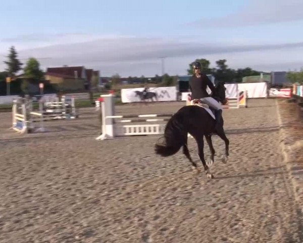 Reitturnier Poxdorf/Ofr 2023