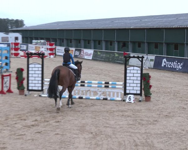 Reitturnier Ranshofen - Braunau am Inn 2023