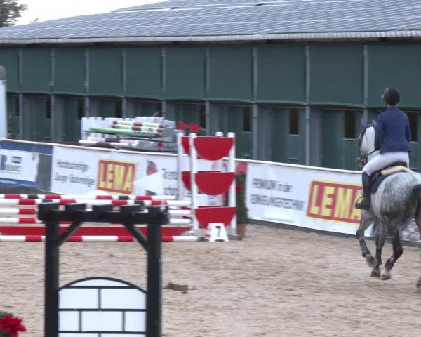 Reitturnier Ranshofen - Braunau am Inn 2023