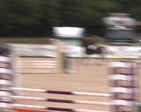 Reitturnier Ranshofen - Braunau am Inn 2023