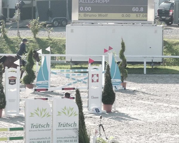 Pferdesporttage Bülach 2021