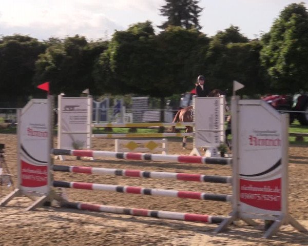 Reitturnier Birkungen 2023