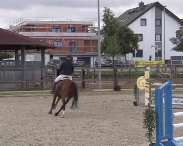 Reitturnier Poxdorf/Ofr 2023