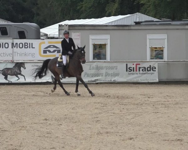 Reitturnier Ranshofen - Braunau am Inn 2023