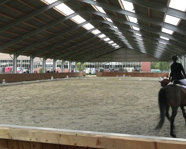 Reitturnier Langenfeld - Gut Langfort 2023