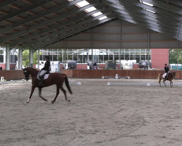 Reitturnier Langenfeld - Gut Langfort 2023