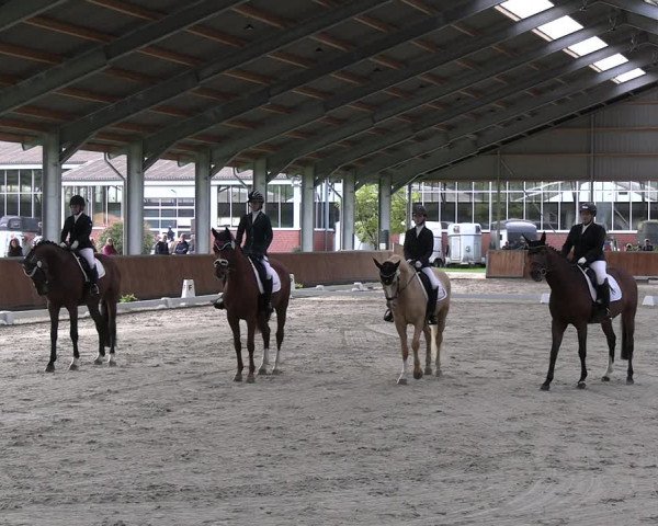 Reitturnier Langenfeld - Gut Langfort 2023