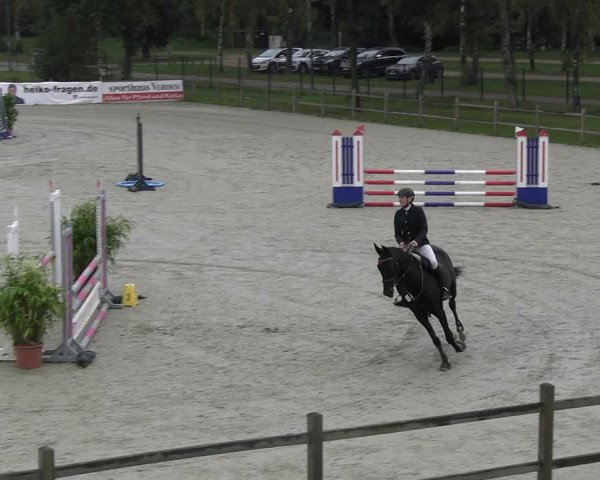 Reitturnier Westergellersen 2023