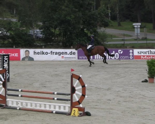 Reitturnier Westergellersen 2023