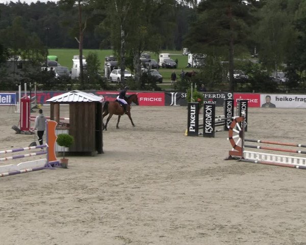 Reitturnier Westergellersen 2023