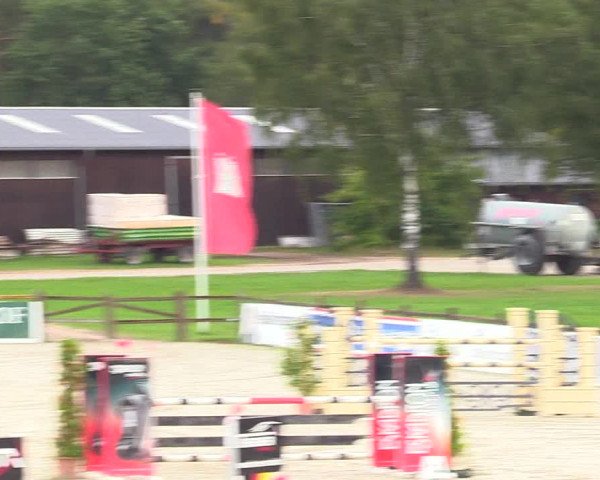 Reitturnier Westergellersen 2023