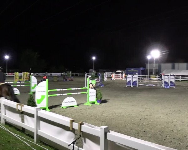 Reitturnier Mildstedt - JTN 2023