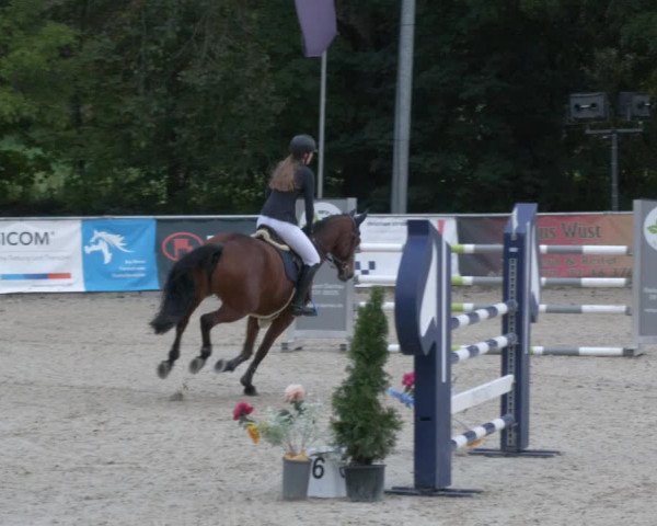 Reitturnier Karlsfeld 2023