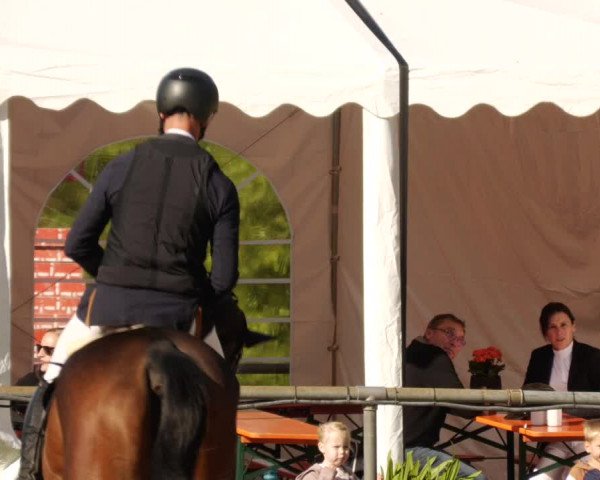 Reitturnier Leingarten 2023