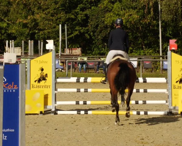 Reitturnier Leingarten 2023