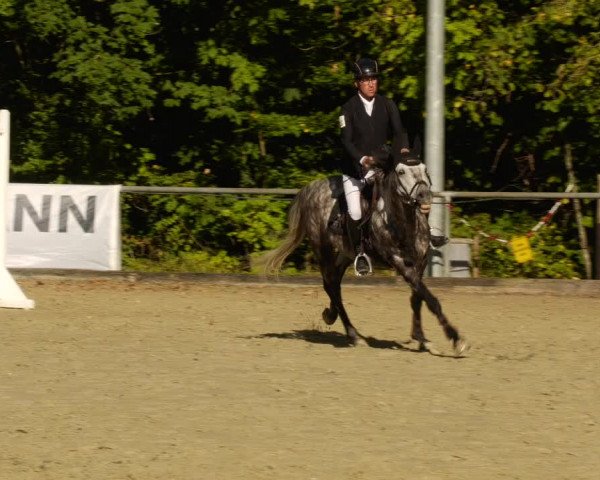 Reitturnier Leingarten 2023