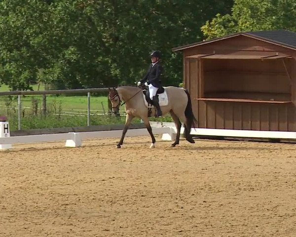 Reitturnier Altentrüdingen/Mfr. 2023