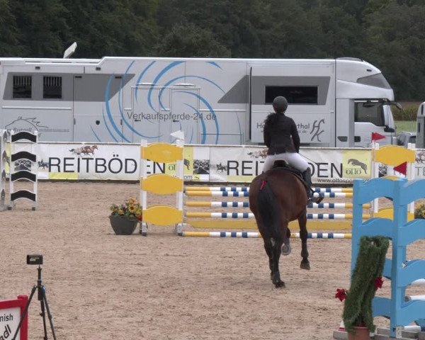 Reitturnier Ranshofen - Braunau am Inn 2023