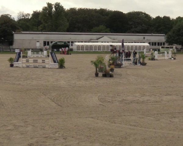 Reitturnier Langenfeld - Gut Langfort 2023